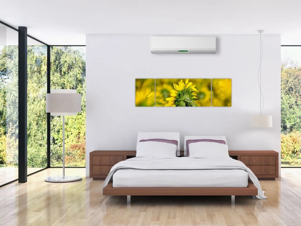 Obraz słonecznika (170x50 cm)