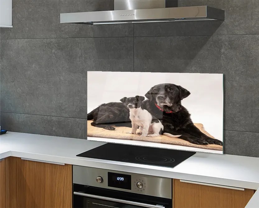 Szklany Panel Odpoczywająca Para Psów