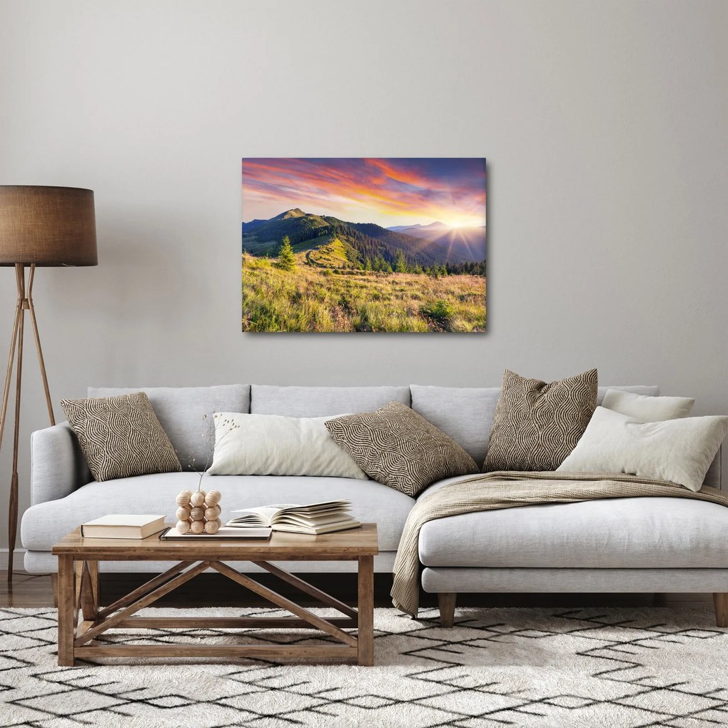 Obraz - Krajobraz leśny (70x50 cm)