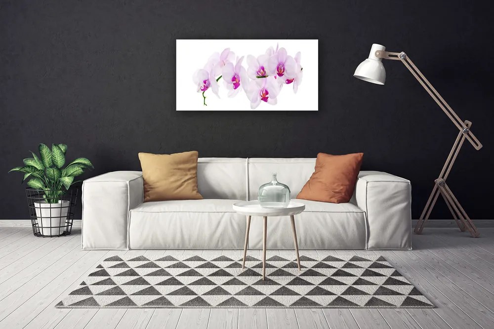 Obraz canvas Pastelowy Ogród Botaniczny