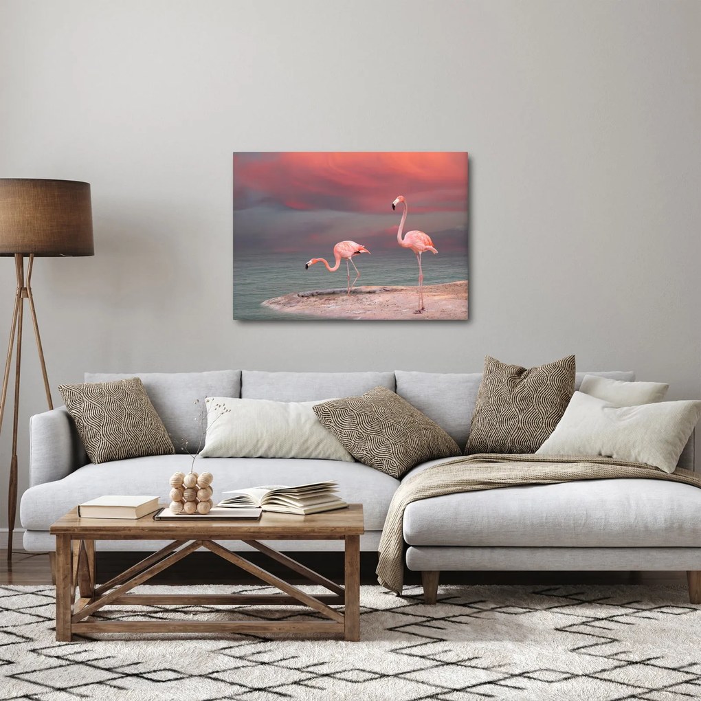 Obraz flamingów (70x50 cm)