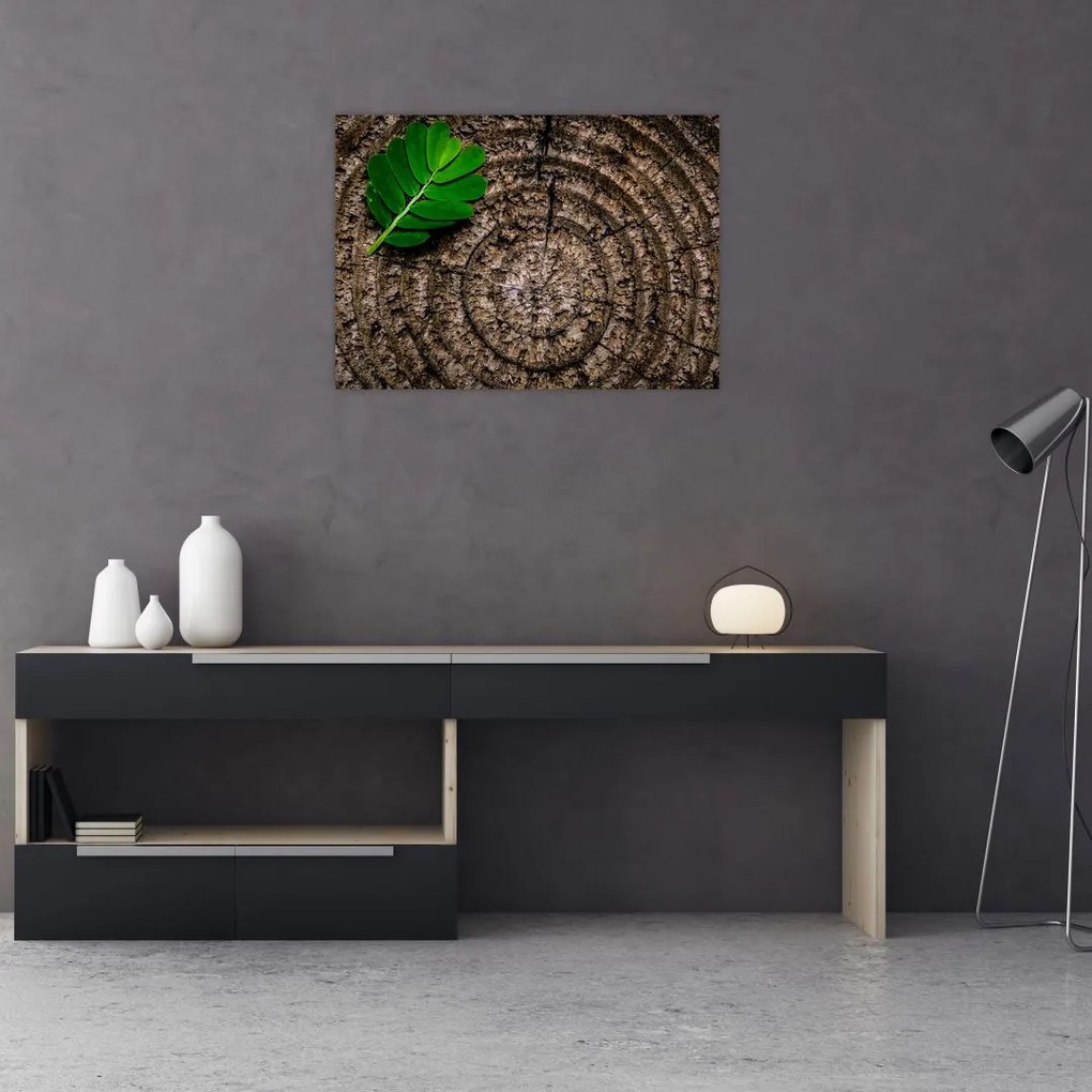 Obraz liścia na pniu drzewa (70x50 cm)