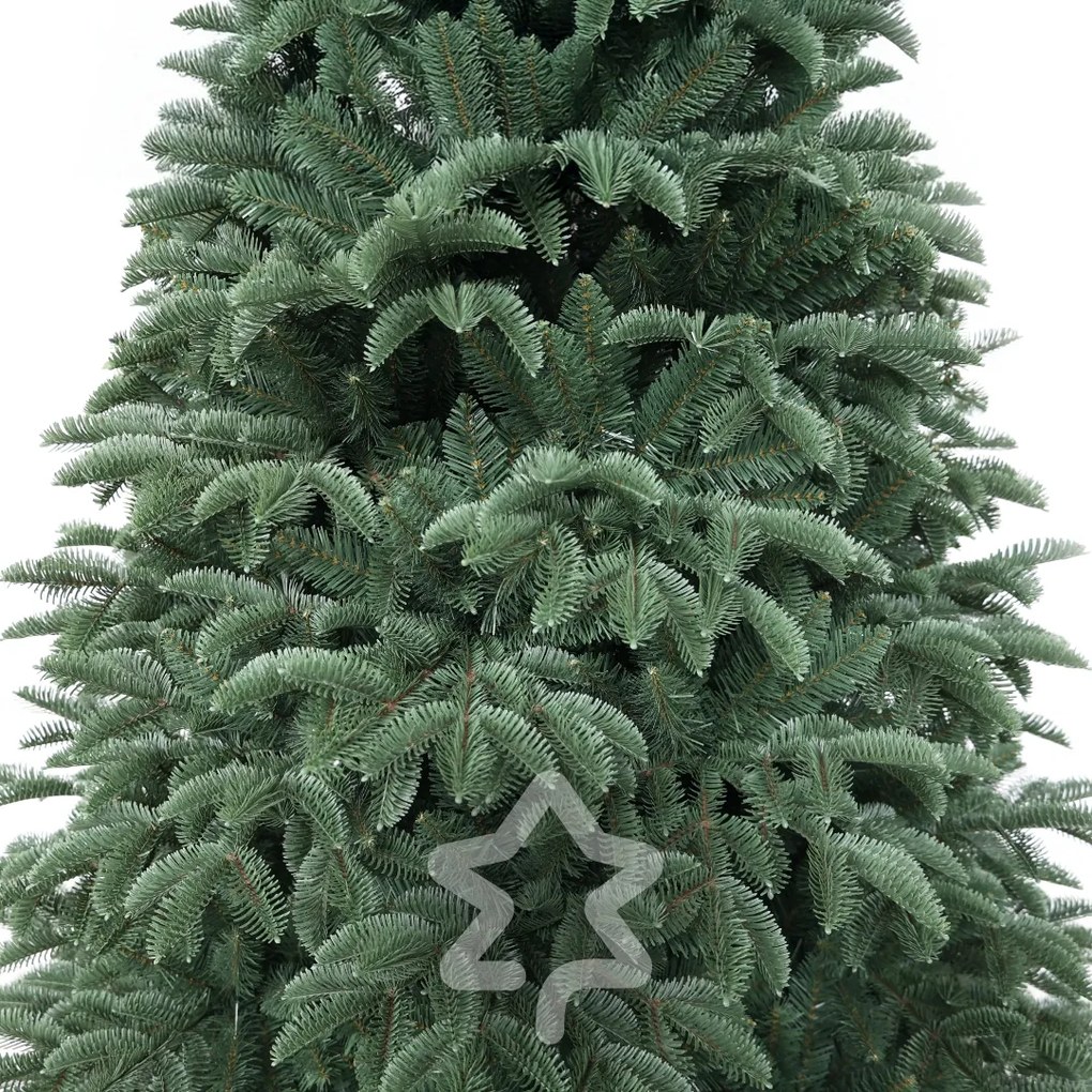 Świerk Oregon ekstra gęsty 240 cm