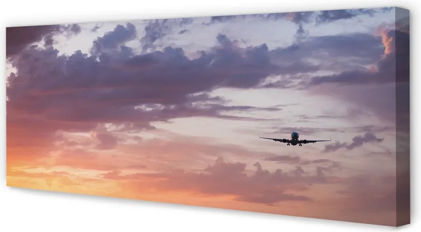 Obraz canvas na ścianę Lot wśród Nocnych Chmur