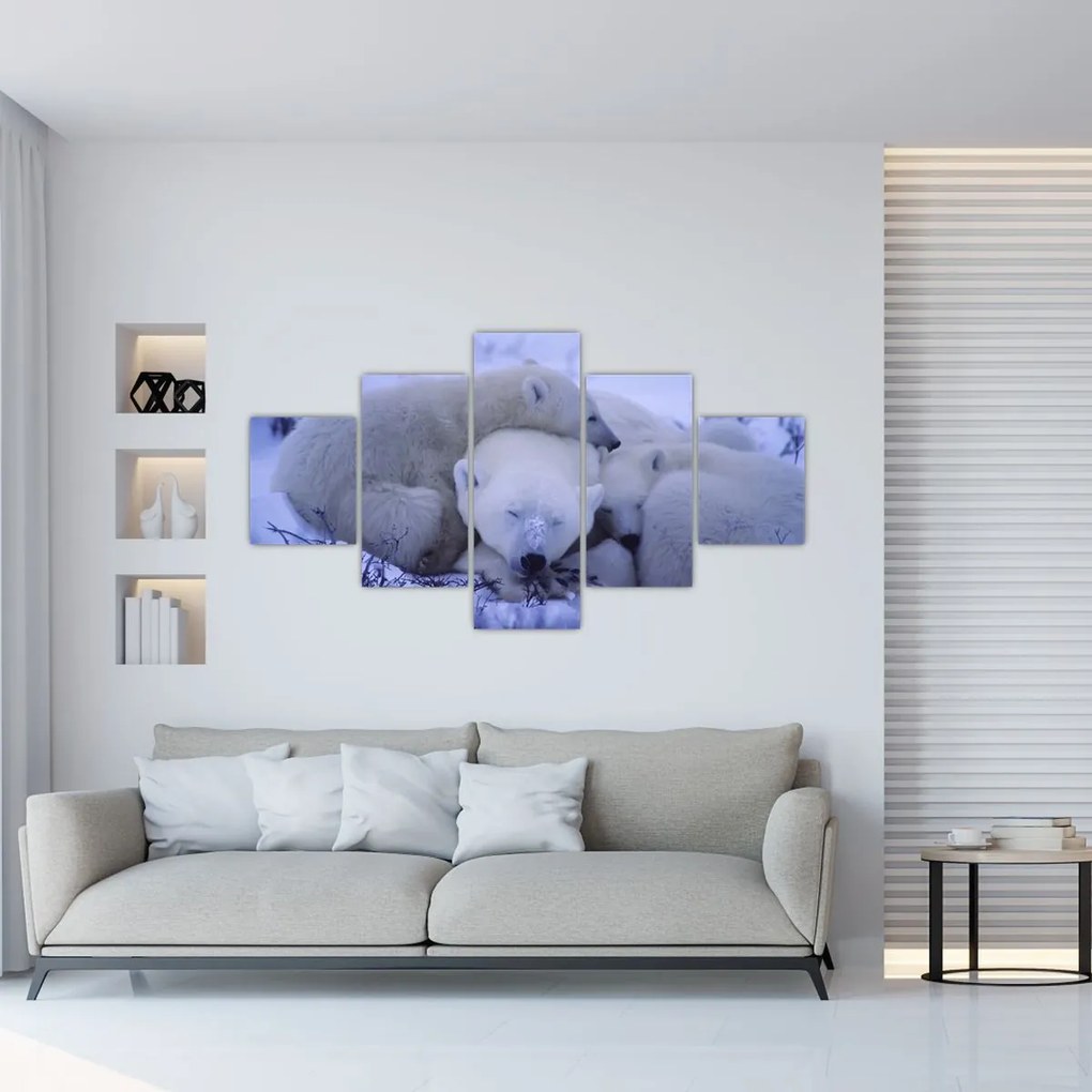 Obraz - Niedźwiadki polarne (125x70 cm)