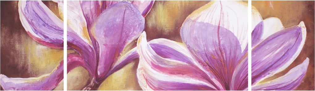 Obraz - Kwiaty magnolii (170x50 cm)