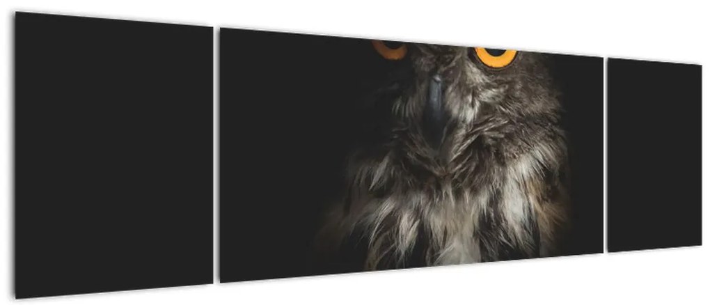 Obraz sowy (170x50 cm)