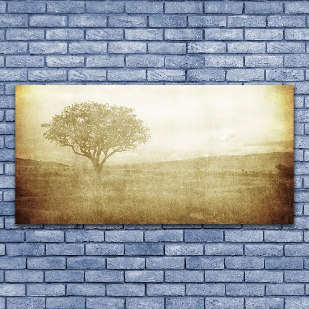 Fotoobraz na płótnie Korona Rozłożystego Drzewa