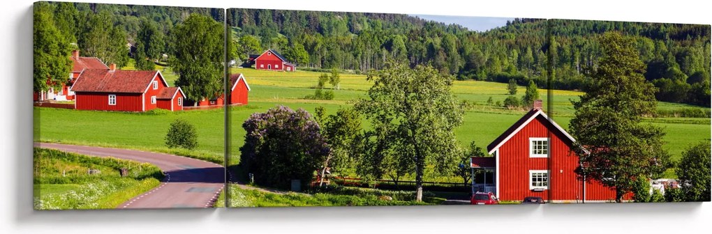 Obraz wsi (170x50 cm)