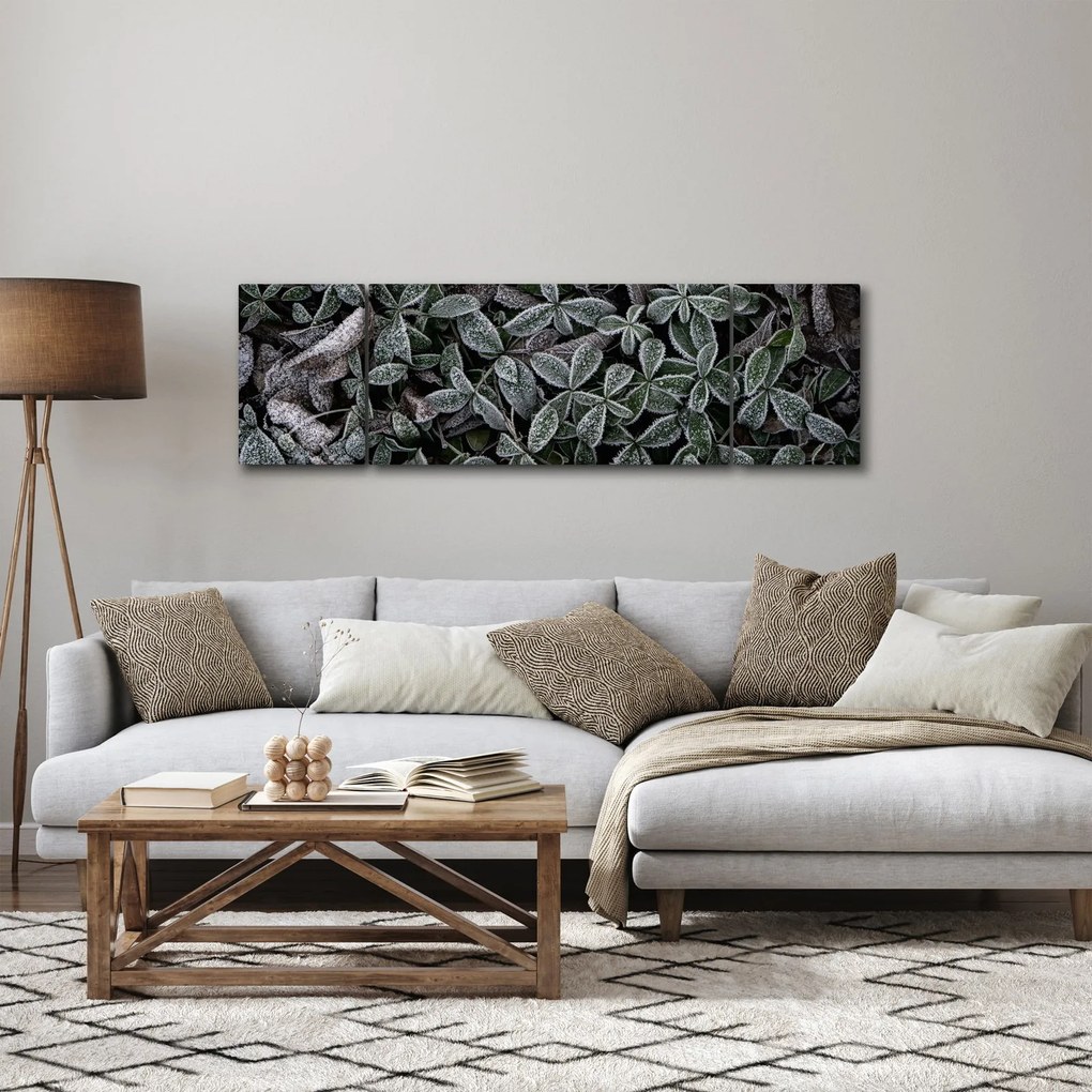 Obraz - Zamrożone rośliny (170x50 cm)