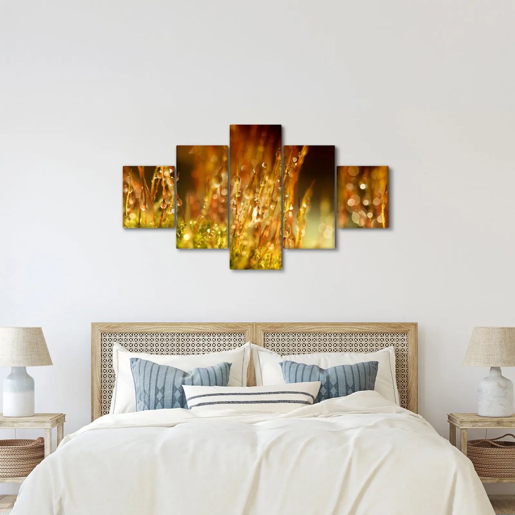 Obraz - Szczegół rosy (125x70 cm)