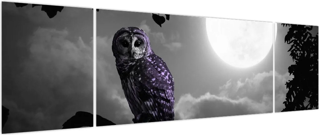 Obraz - Nocna sowa, fioletowa sowa (170x50 cm)