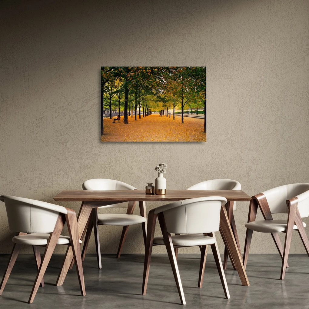 Obraz na szkle - aleja jesiennych drzew (70x50 cm)