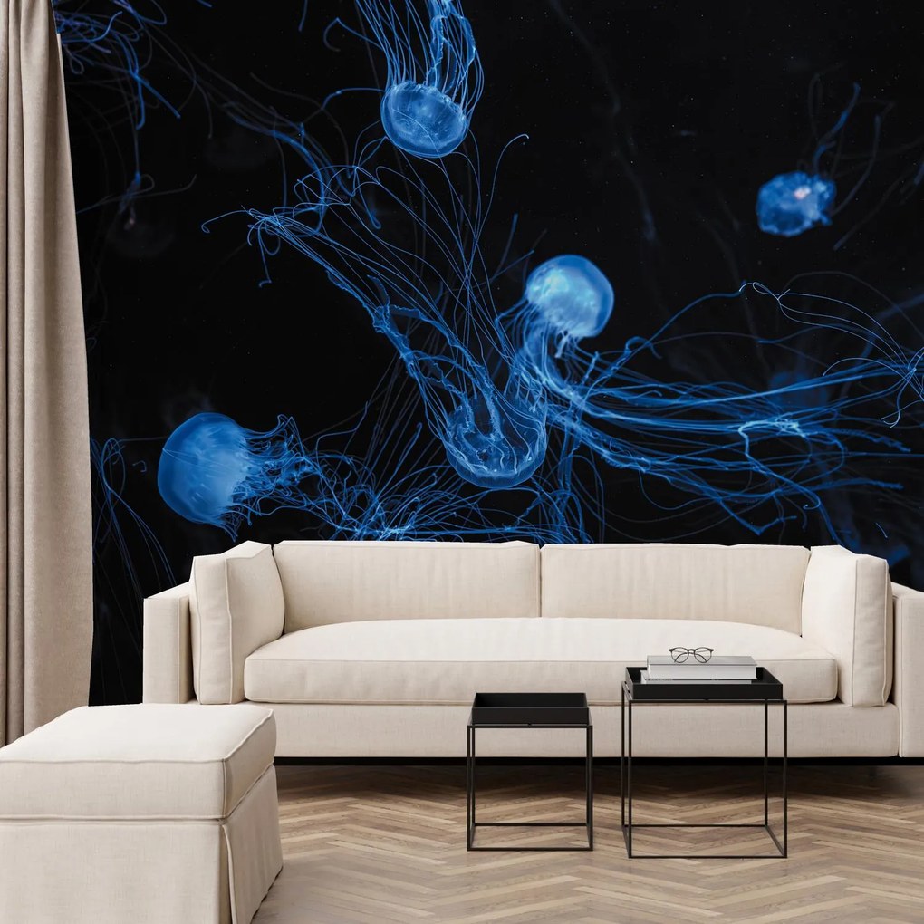 Fototapeta - Meduza (196x136 cm)