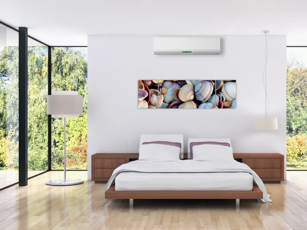 Obraz muszelek (170x50 cm)
