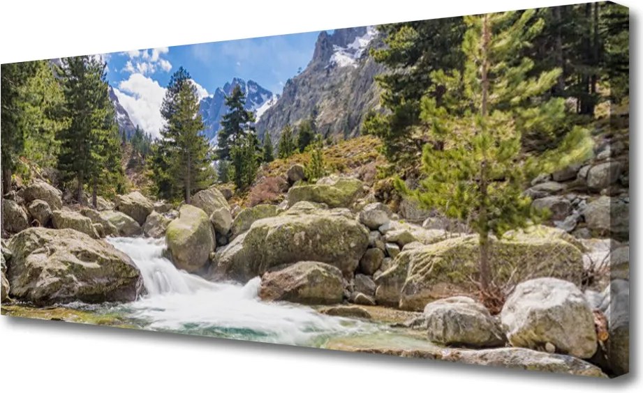 Obraz canvas Dziki Potok w Górskim Lesie