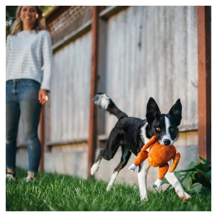 Zabawka dla psa Indyk – P.L.A.Y.