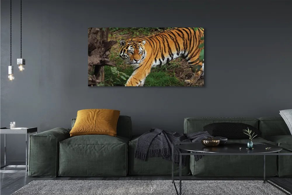 Fotoobraz na płótnie Tygrys w Gęstwinie Lasu