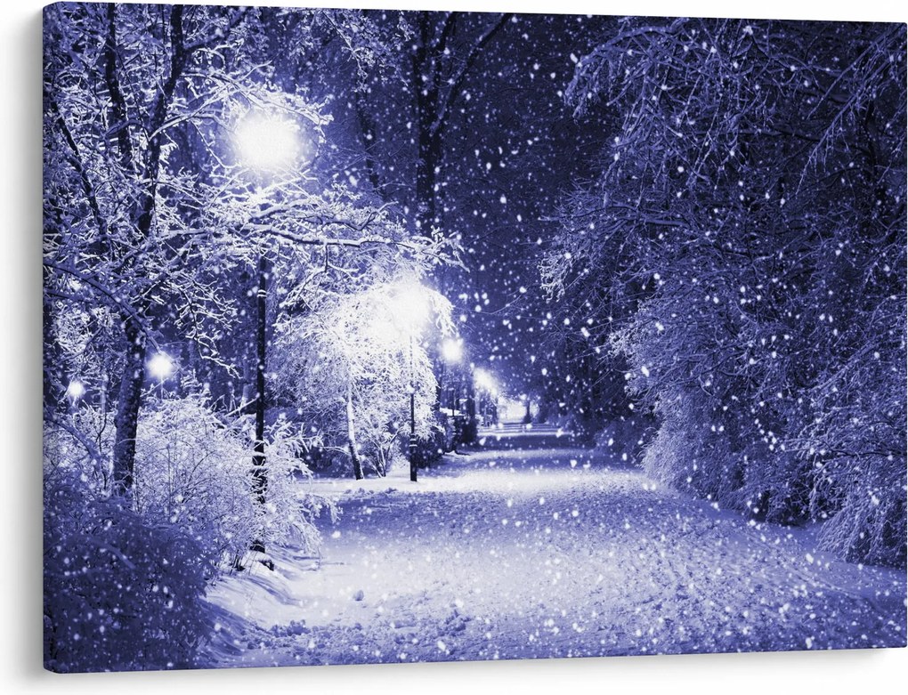 Obraz - Magiczna zimowa noc (70x50 cm)