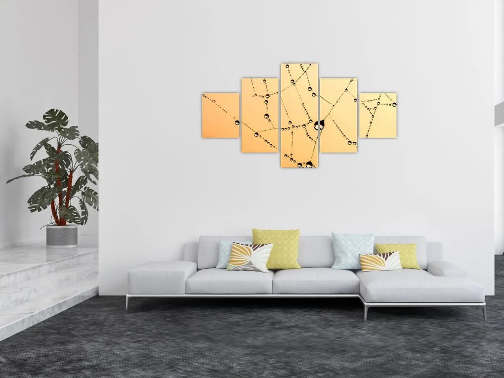 Obraz zroszonej pajęczyny (125x70 cm)