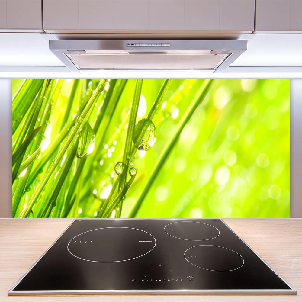 Panel Szklany Świeżość Porannej Rosy