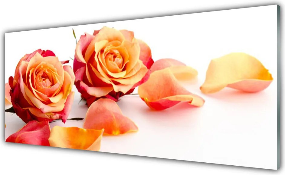 Panel Szklany Aksamitne Róże w Ogrodzie