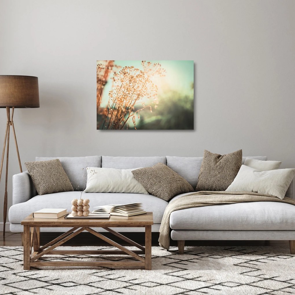 Obraz na szkle - Rośliny po deszczu (70x50 cm)