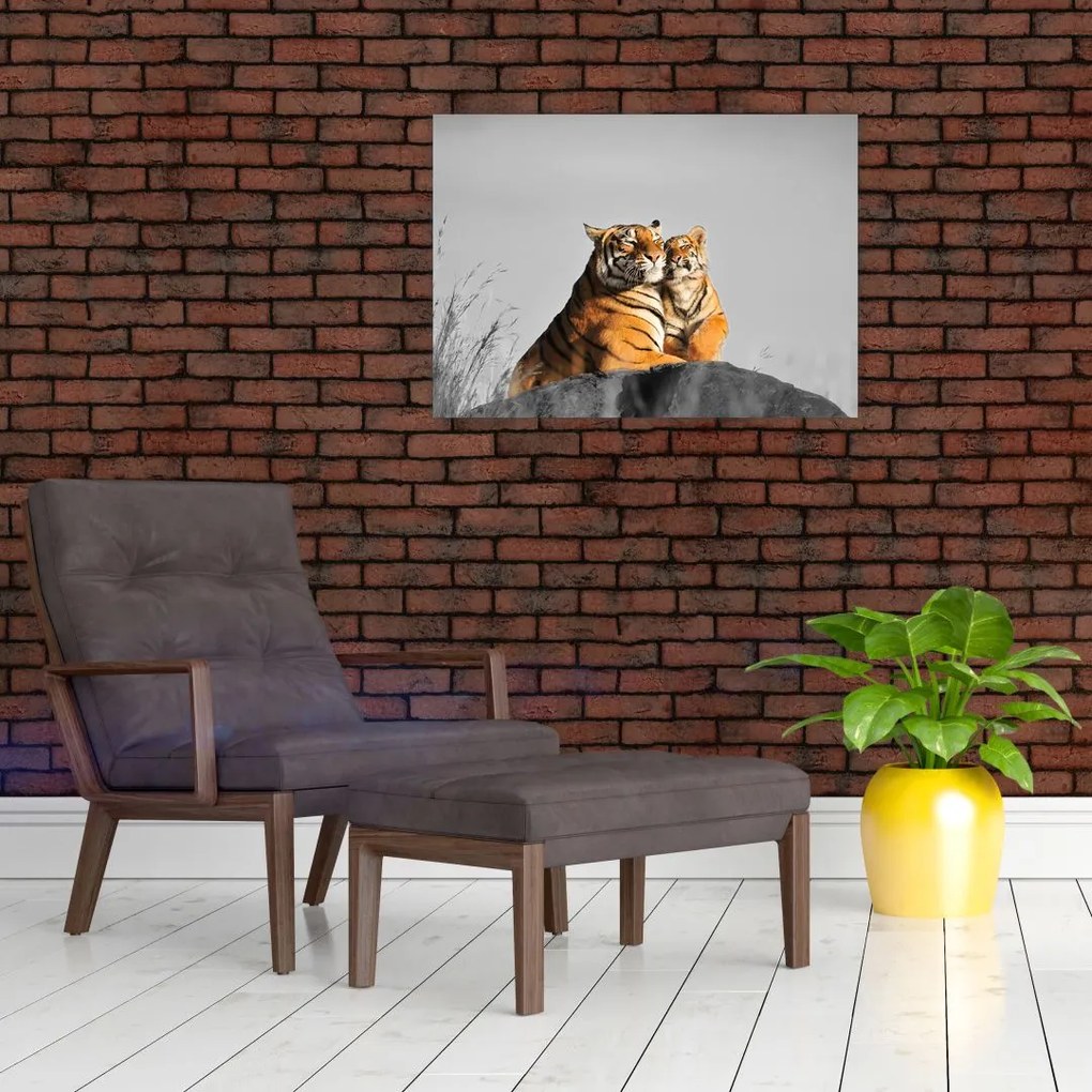 Obraz - Tygrysica i jej młode, wersja czarno - biała (70x50 cm)