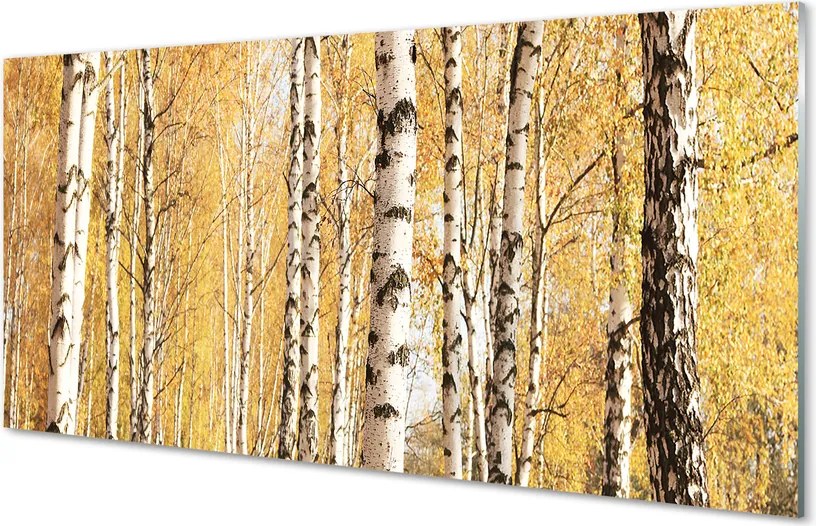 Panel szklany do Kuchni Barwy Jesiennego Lasu