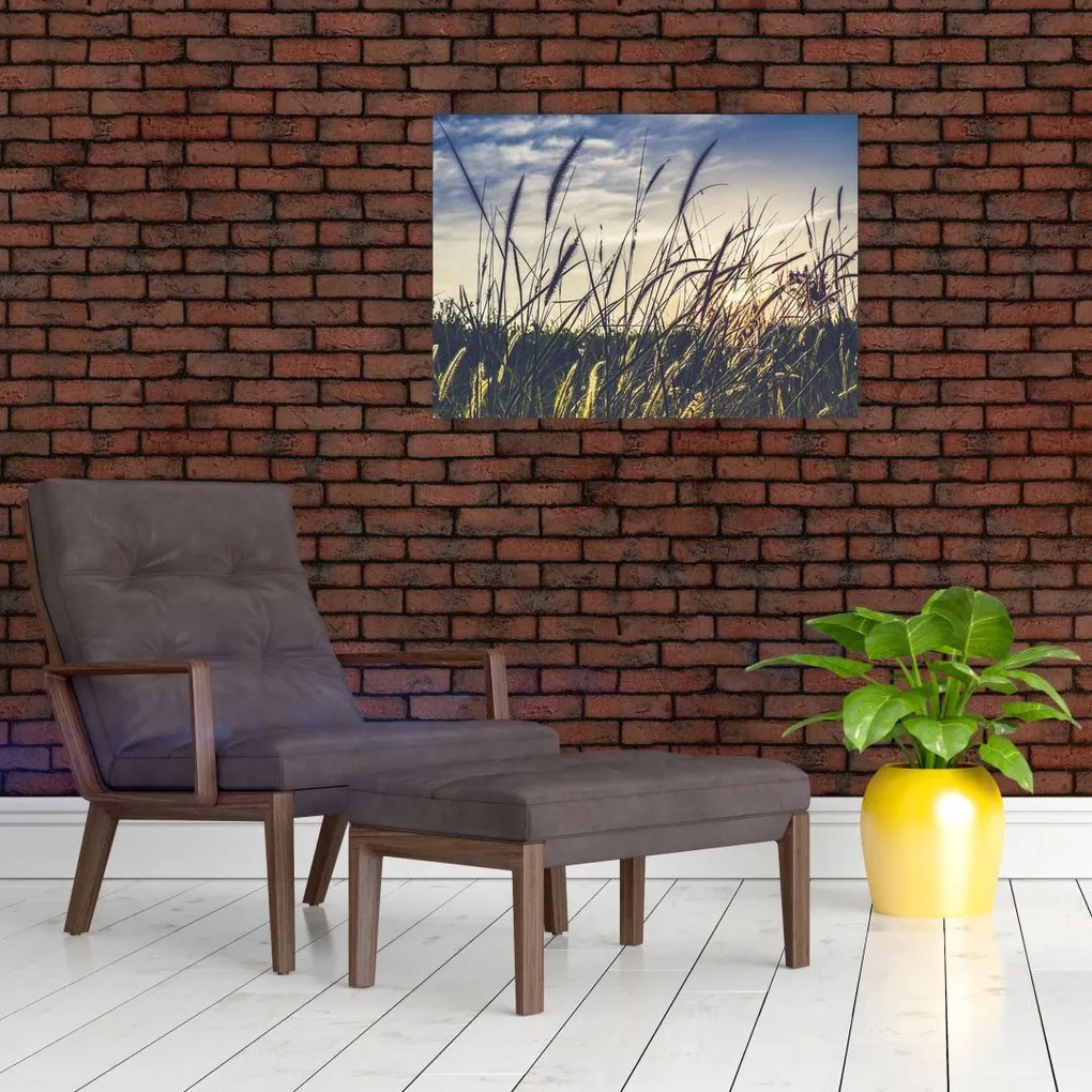 Obraz na szkle kwiatów łąkowych (70x50 cm)