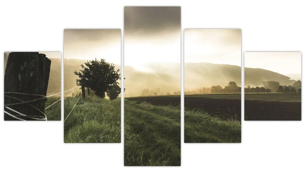 Obraz łąki (125x70 cm)