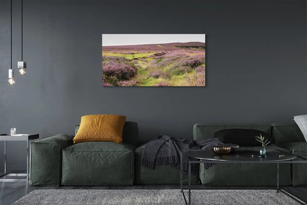 Obraz drukowany na płótnie Pole Wrzosów