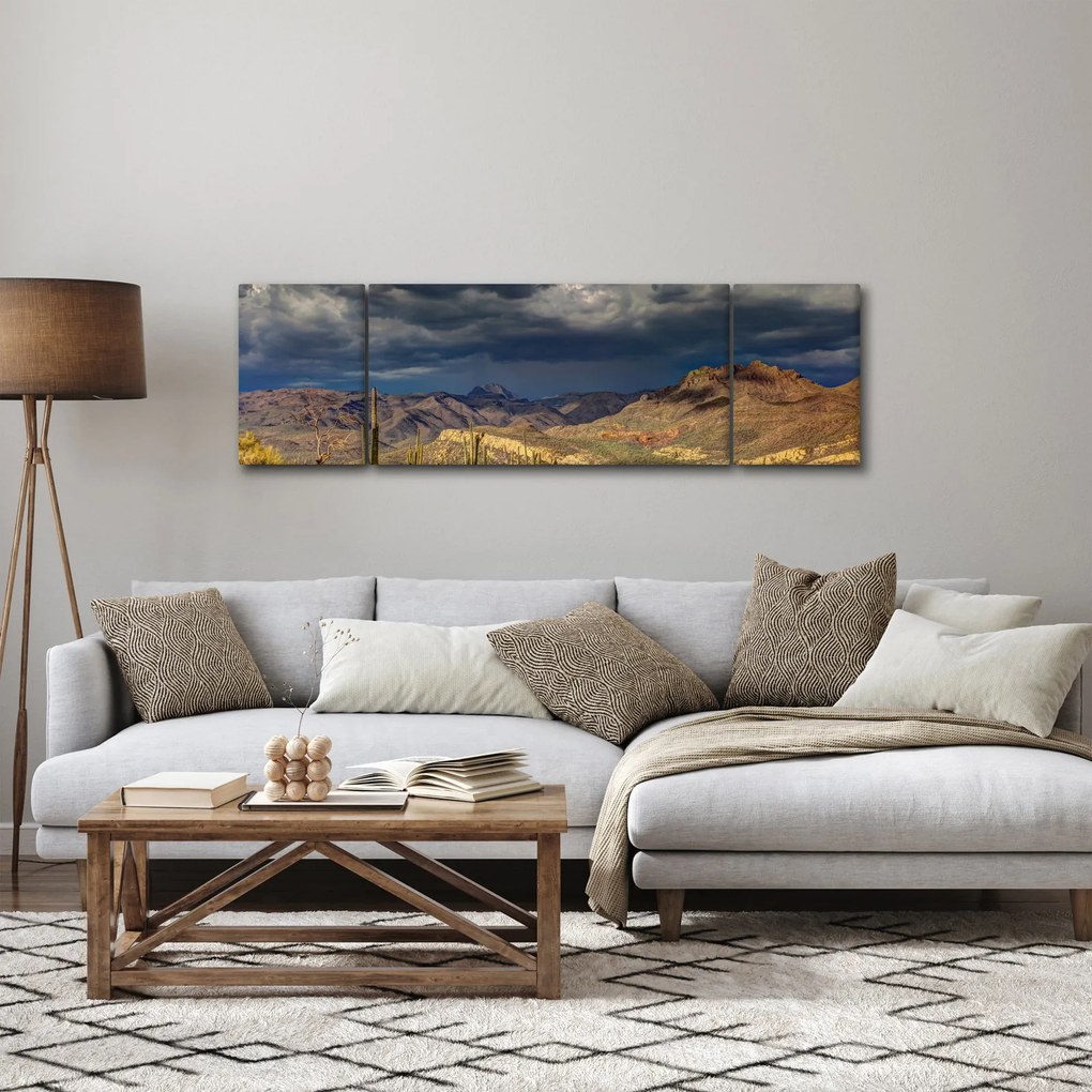 Obraz - kaktusy w przyrodzie (170x50 cm)