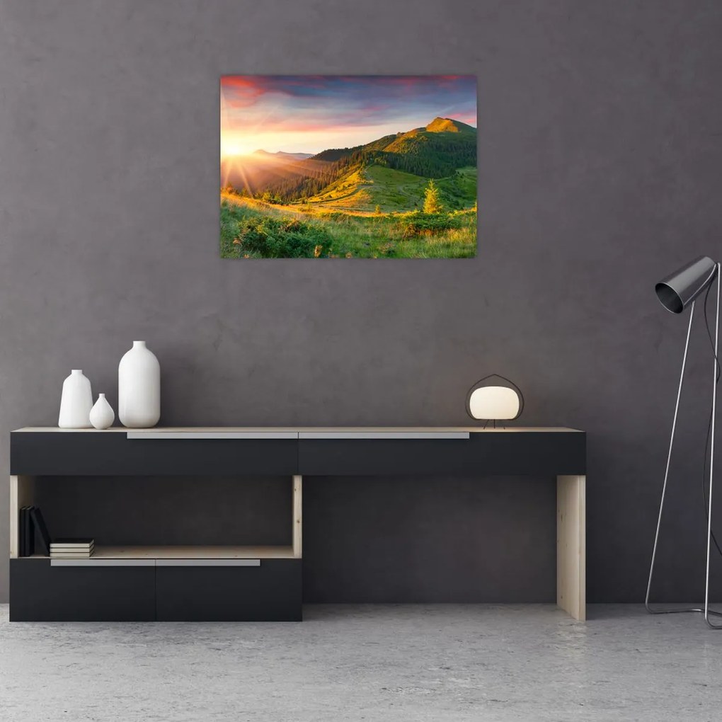 Obraz - Letni krajobraz (70x50 cm)