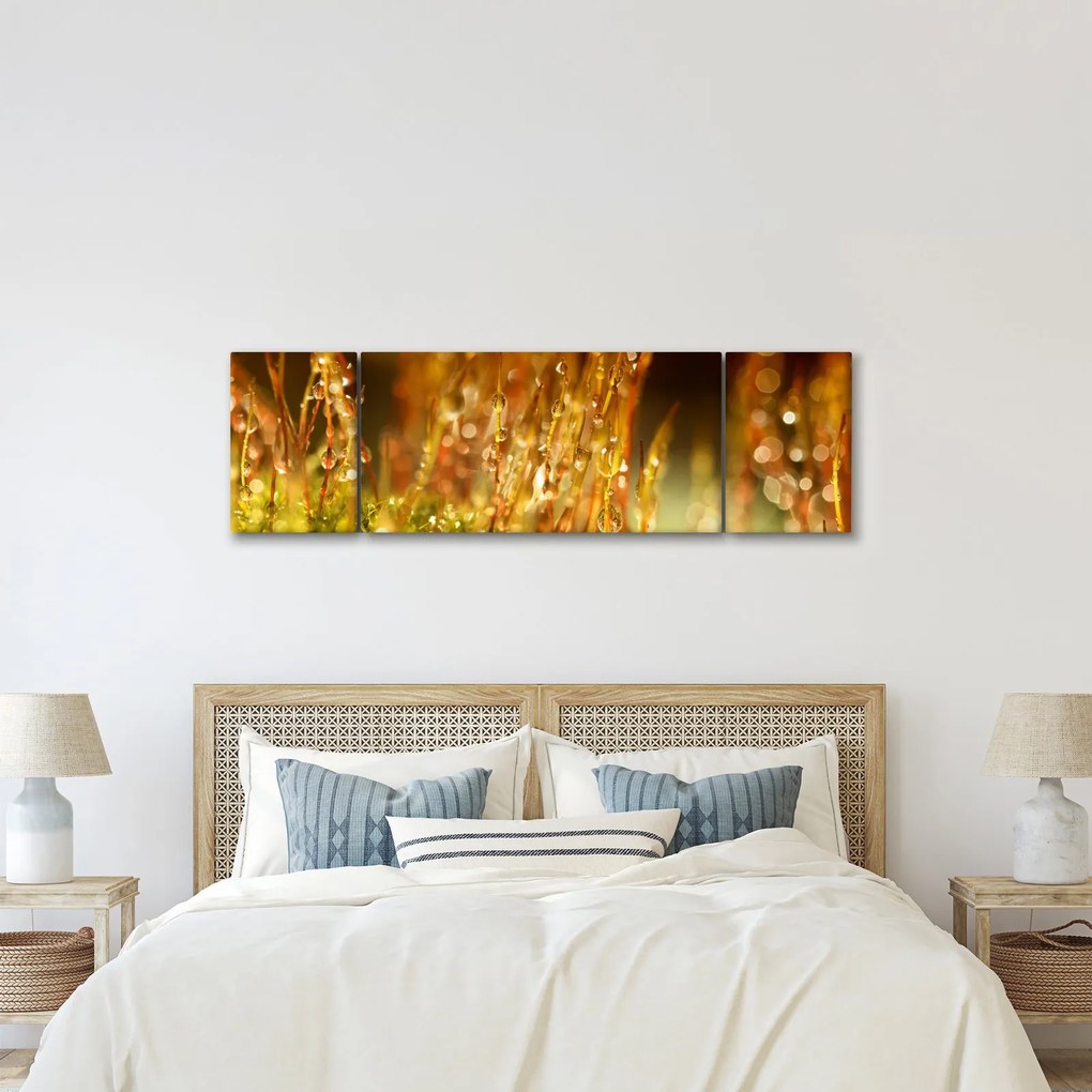 Obraz - Szczegół rosy (170x50 cm)
