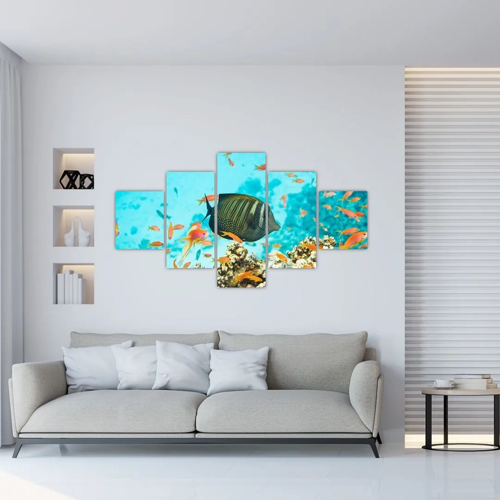 Obraz podwodnego świata (125x70 cm)