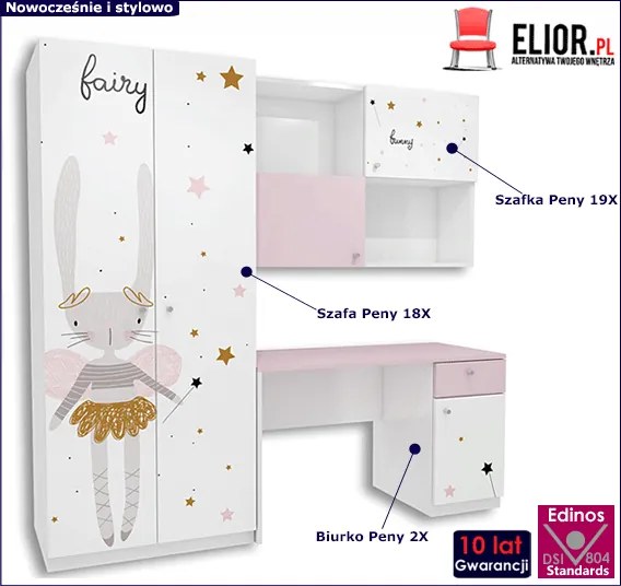 Zestaw mebli dziecięcych z biurkiem dla dziewczynki P2-H49