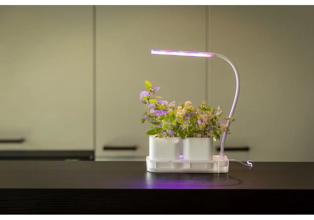 Metalowa stacja do uprawy roślin Lamp – Esschert Design