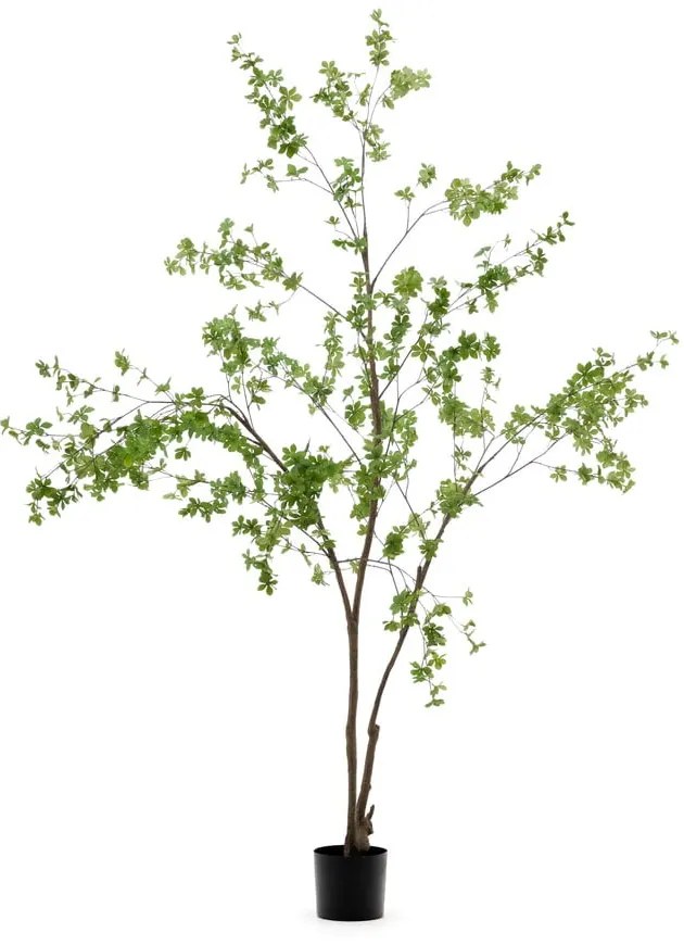 Sztuczna roślina (wysokość 214 cm) Enkianthus – Kave Home