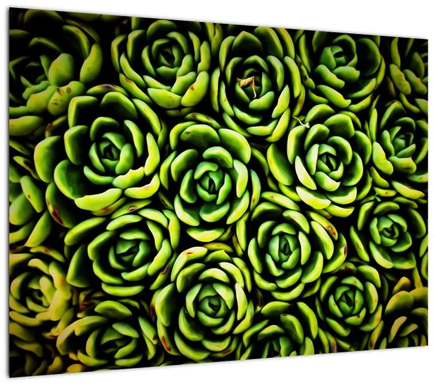 Obraz na szkle bez grzywki (70x50 cm)