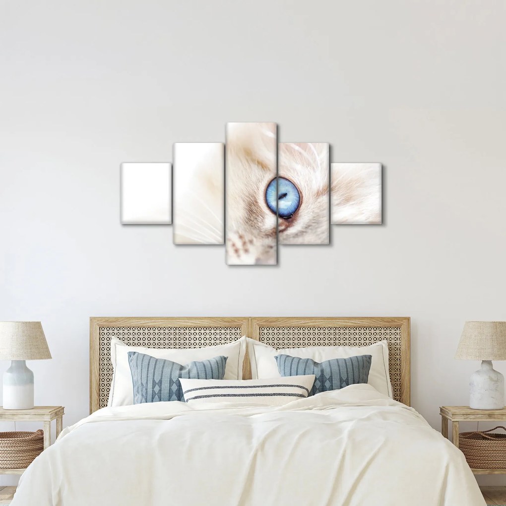 Obraz - Kotek (125x70 cm)