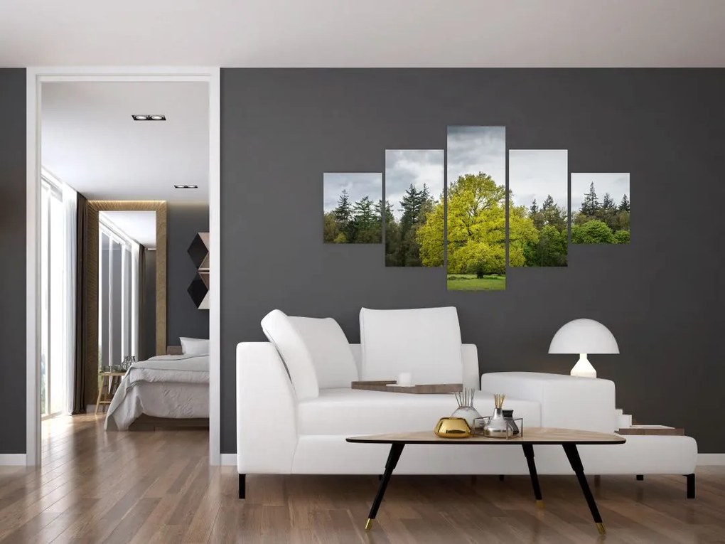 Obraz zielonego drzewa na środku pola (125x70 cm)