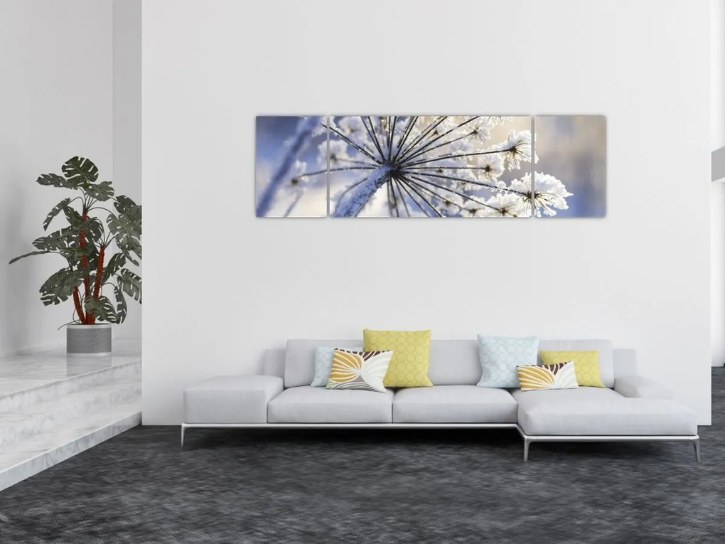 Obraz - Zamarznięty kwiat (170x50 cm)
