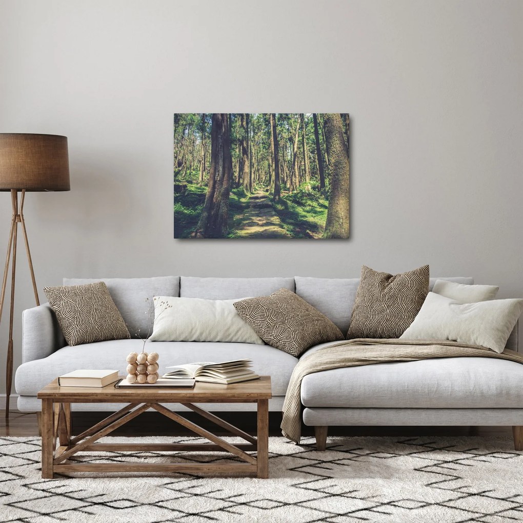 Obraz ścieżki pomiędzy drzewami (70x50 cm)