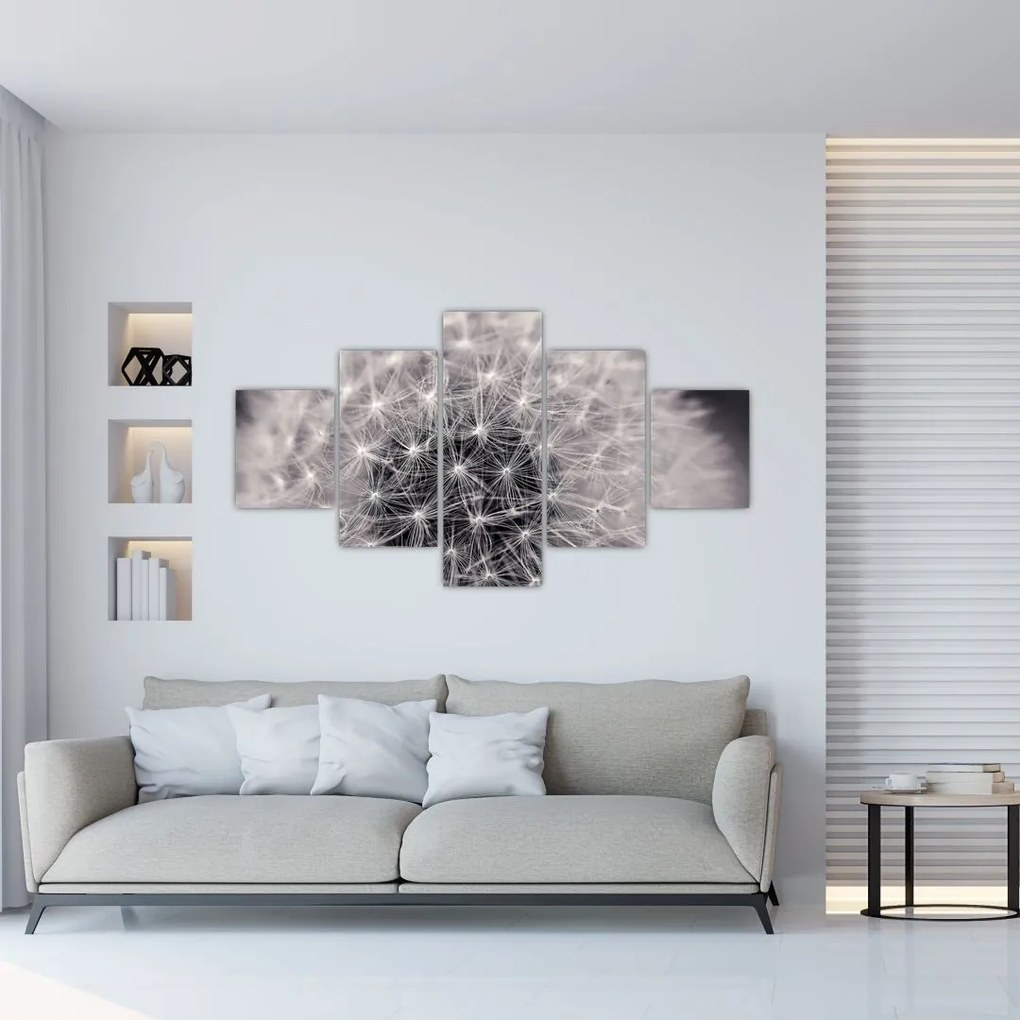 Obraz dmuchawca (125x70 cm)