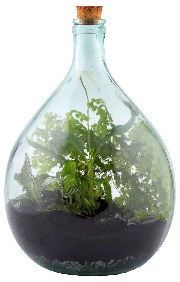 Szklane terrarium z narzędziami do uprawy roślin Esschert Design, 15 l
