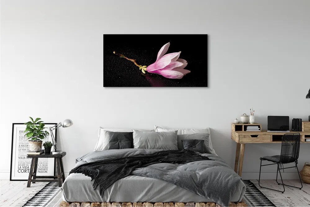 Zdjęcie na płótnie Kwiat na Wodzie