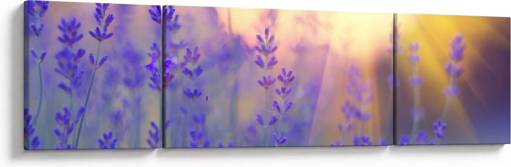 Obraz - Lawenda (170x50 cm)