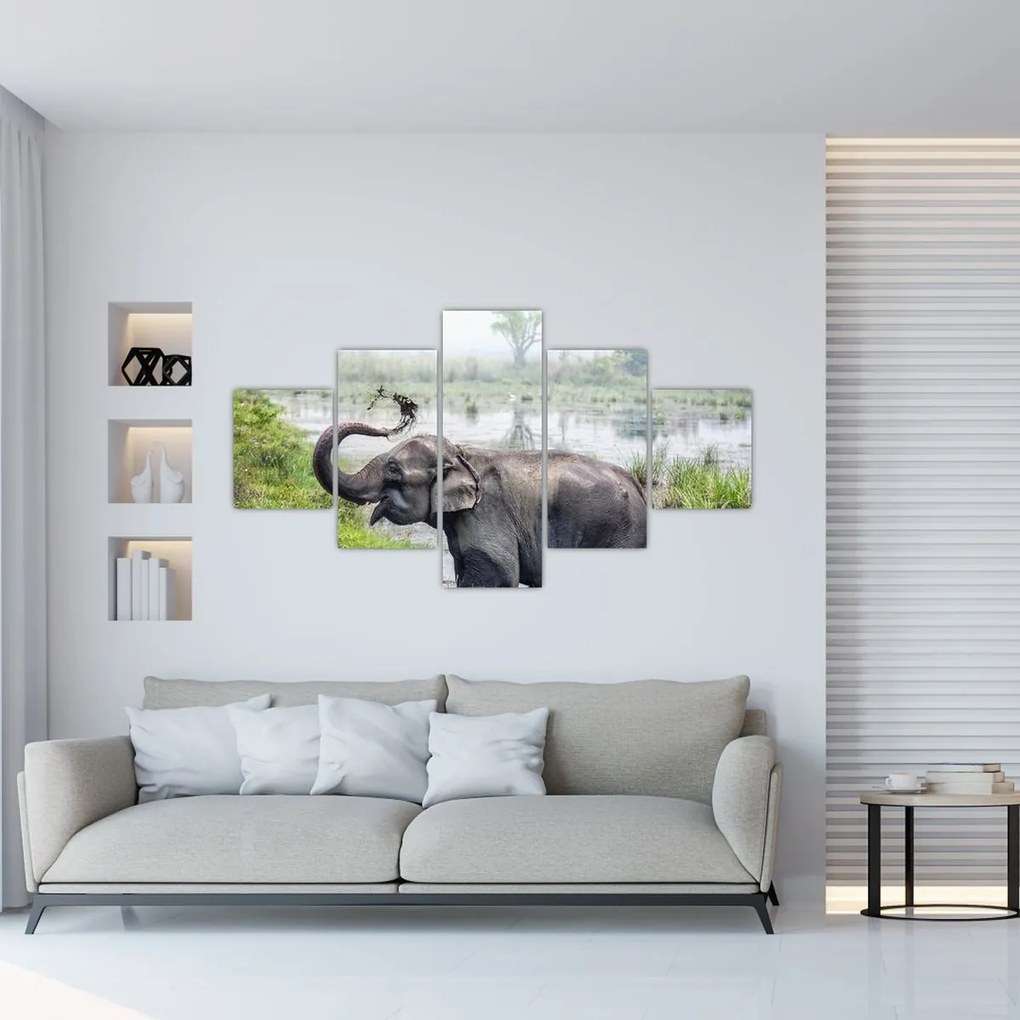 Obraz - Kąpiący się słoń (125x70 cm)