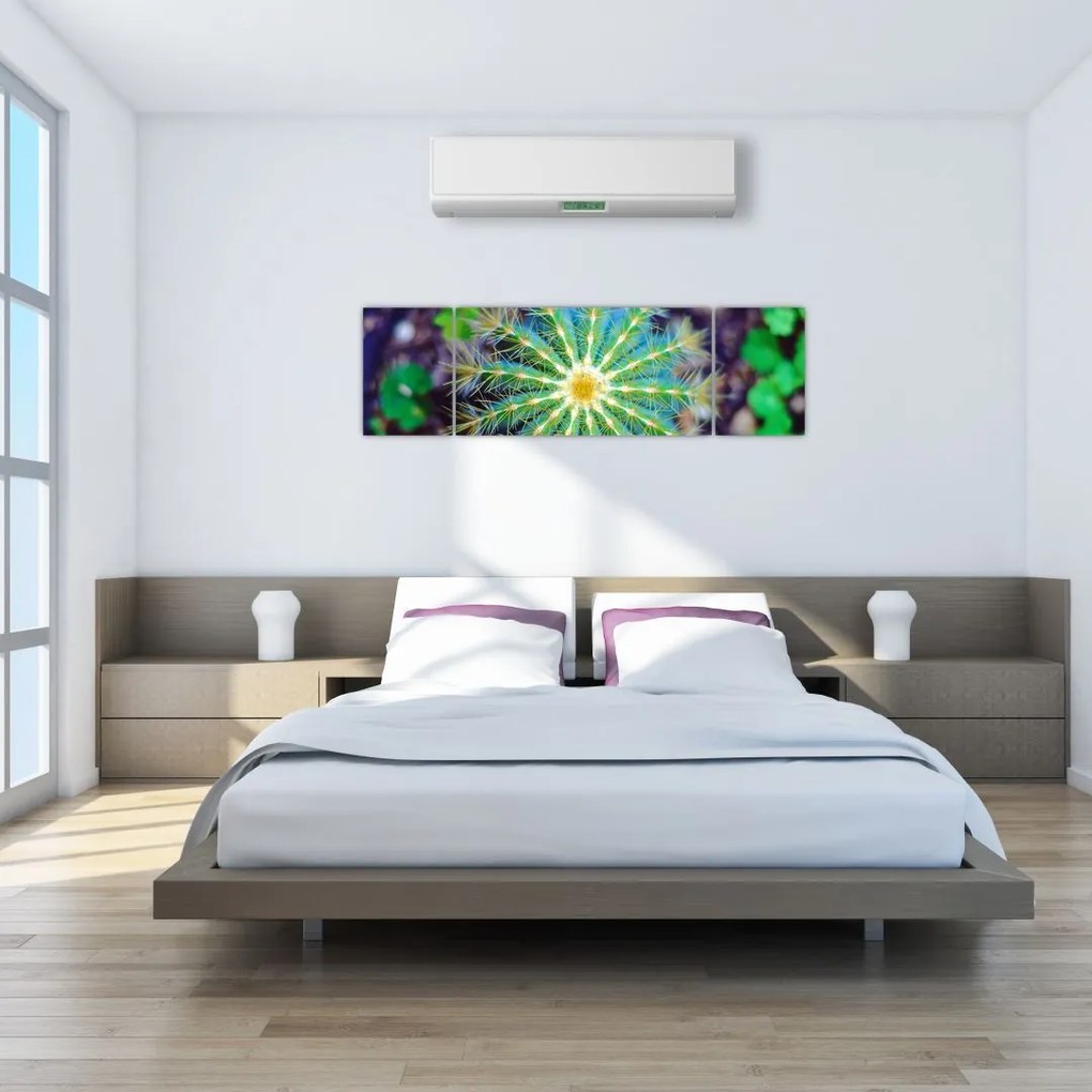 Obraz kaktusa (170x50 cm)